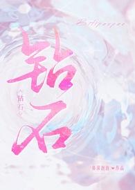 钻石全文番外
