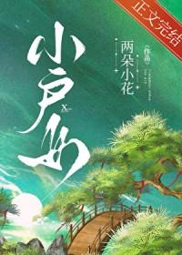 小户女升官录