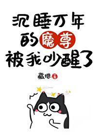 我把魔头哔哔醒了七猫