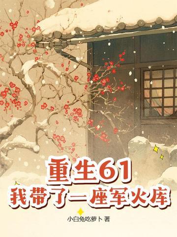 牛宏重生61我带了一座军火库