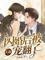 闪婚大叔用力宠免费读550章