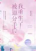 被逼分手后我重生了晋江