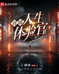 首席人生体验官类型