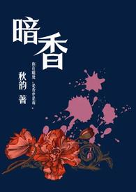 暗香(舅甥)秋韵内容
