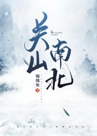 关山南北锦绣灰免费阅读笔趣阁