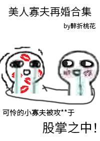 美人寡夫再婚合集by醉折桃花