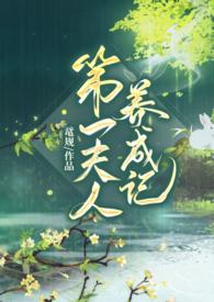 第一夫人 番外全