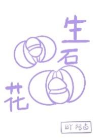 生石花会长大吗图片