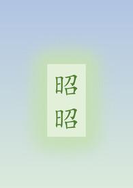 昭昭合集