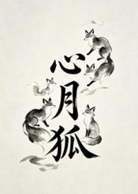 心月狐星宿详解