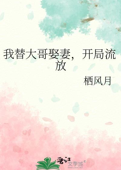我替我哥娶了那个omgae