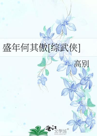 盛年何其傲综武侠