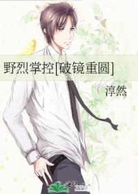 野烈掌控破镜重圆淳然txt