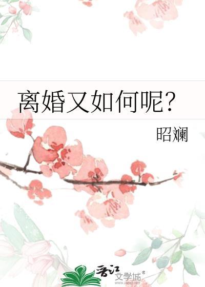 离婚又如何呢TXT