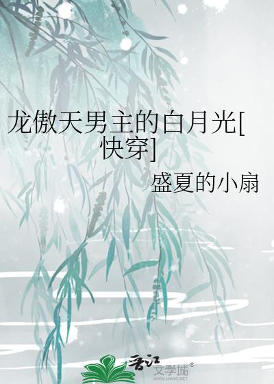 男主龙傲天的