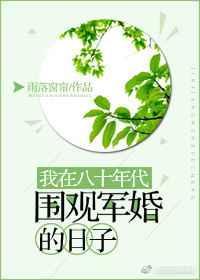 no4我在八十年代围观军婚的日子