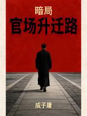 官场权谋暗局