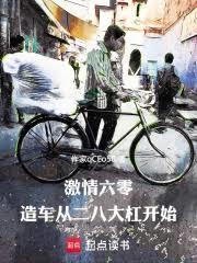 激情燃烧在六零 完结