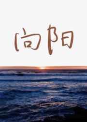 向阳天机器人给出光伏运维方案