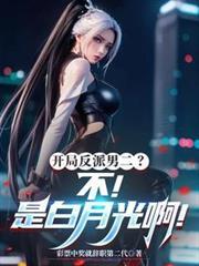 开局是反派的