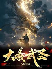 羲武科技北京有限公司