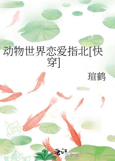 动物世界的男女关系