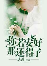 你若安好那还得了佘檀舟txt