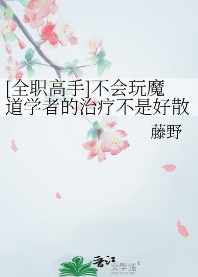全职高手之道士