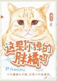 这是你掉的胖橘吗英文