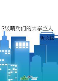哨兵 系统