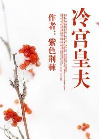 冷宫皇夫好看吗