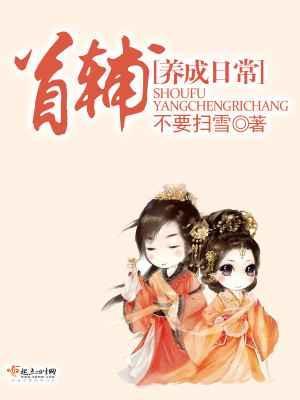 首辅养成日常晋江