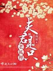夫君只只都是狼作者静兰物语