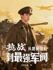 抗战德械师有多大作用