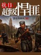 抗日之超级悍匪评价