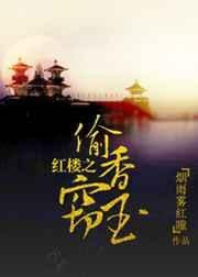 红楼偷香窃玉全文阅读