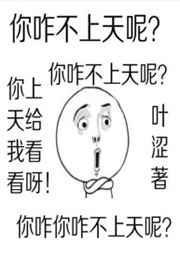 你咋不上天呢是什么意思