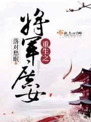 重生之将军将军