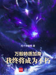 我加载了武道破限面板笔趣阁