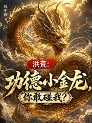 洪荒之功德金轮