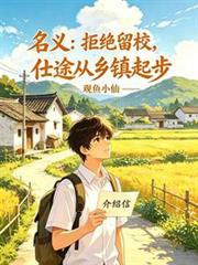 仕途从乡镇起步TXT
