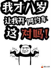 让我开网约车这对吗!