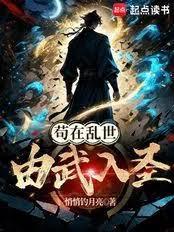 苟在乱世由武入圣全集