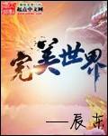 完美世界2月13日主力资金净买