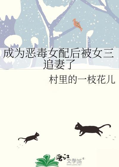 成为恶毒女配后被女三追妻了