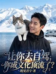让你去自驾,你成文化顶流了?